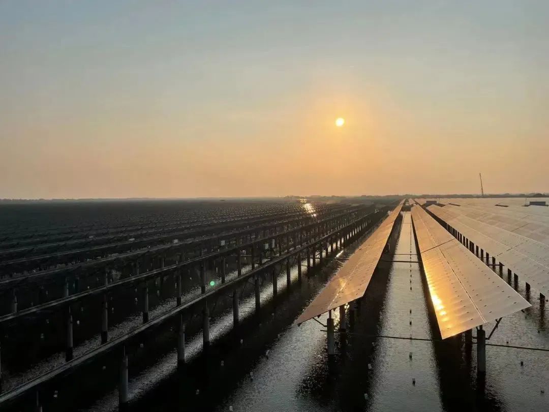 1690255442729094.jpg 640-1.jpg